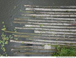 Photo Textures of Log Wood 